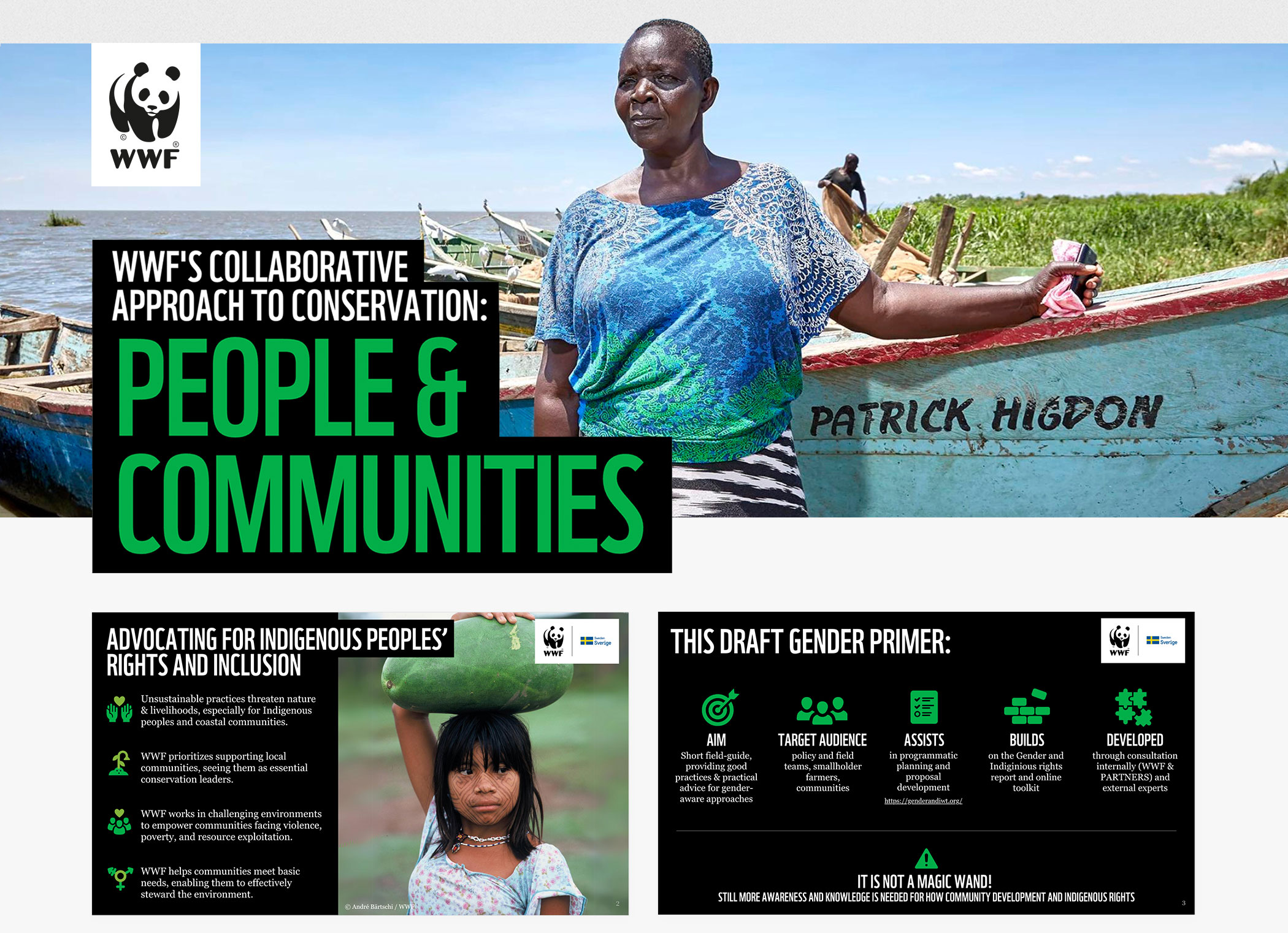 WWF-WORLD-WILDLIFE-FUND-DESIGN_12