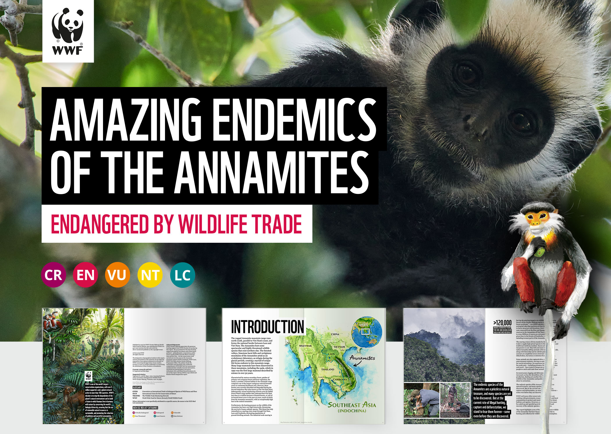 WWF-WORLD-WILDLIFE-FUND-DESIGN_7